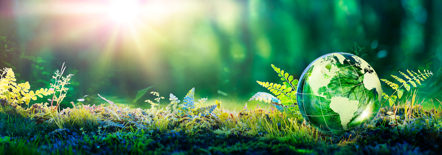 Environment Environment