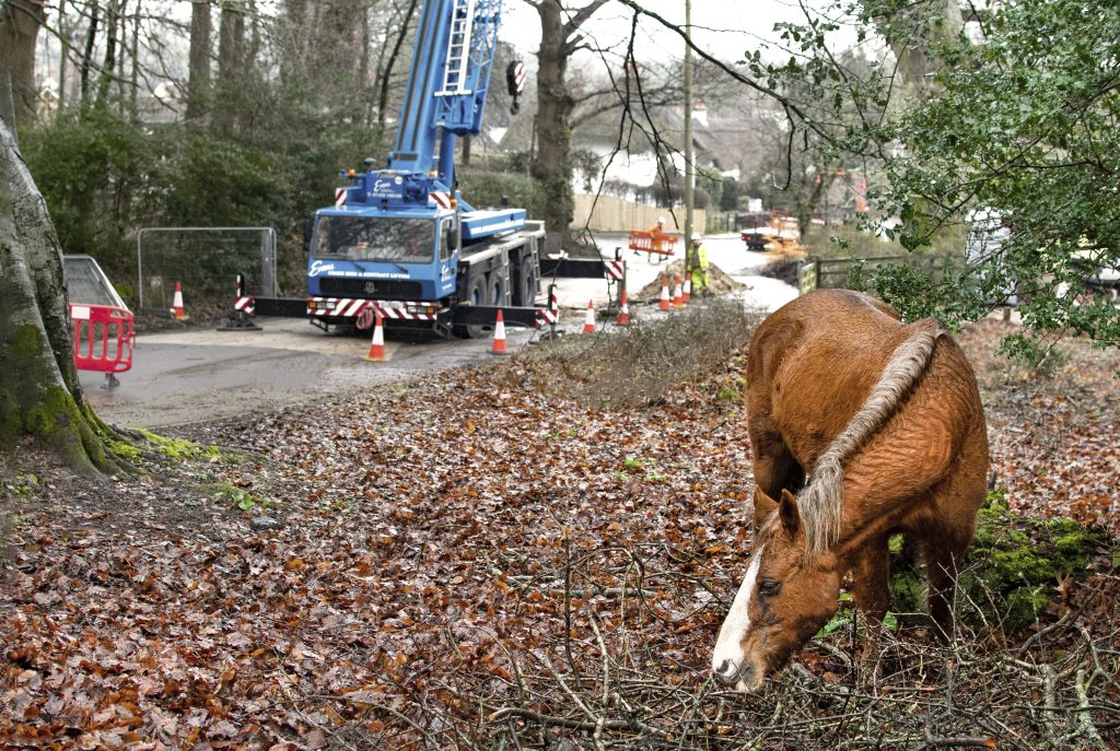 Cattle grid install with pony